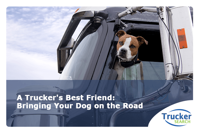 A-Trucker's-Best-Friend-Bringing-Your-Dog-on-the-Road
