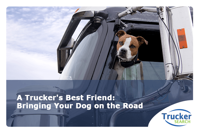 https://truckersearch.com/blog/wp-content/uploads/2019/04/A-Truckers-Best-Friend-Bringing-Your-Dog-on-the-Road.png